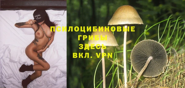 2c-b Беломорск