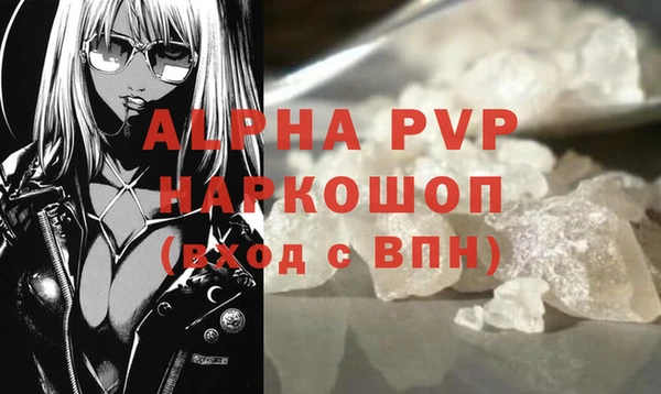 a pvp Белокуриха