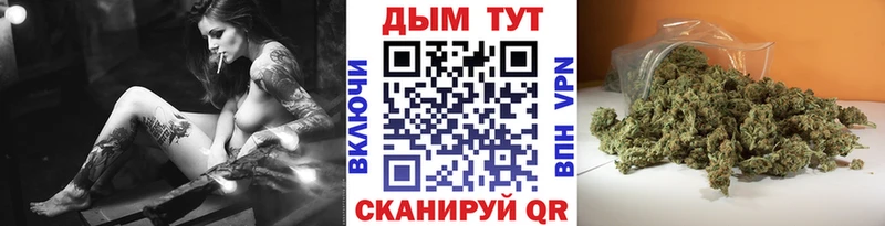закладки  Светогорск  Бошки марихуана планчик 